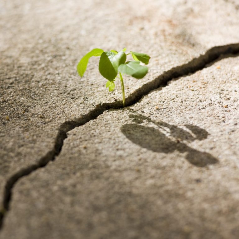 "Die schwierigste Zeit in unserem Leben ist die beste Gelegenheit, innere Stärke zu entwickeln."